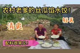 农村老爹做的丝瓜馅水饺，味道清爽鲜美！用的这几种配料很常见！视频封面