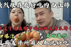 辽宁省盘锦市碱地铁皮鹰爪柿子，口口爆汁酸甜可口，小时候味道！视频封面