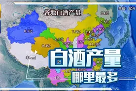 各地白酒产量，哪个地方最多？东不入皖，西不入川？#白酒 #四川视频封面