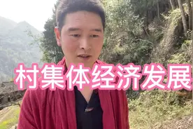 四川广元农村如何发展集体经济小伙村里准备150亩地种植茶叶视频封面