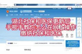湖北社保和医保更新后，手把手教你如何在网上操作缴纳社保和医保视频封面