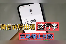 使用手机微信转账，显示这行字，记住别付款，我也是才知道视频封面