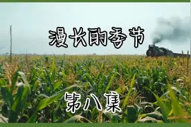 殷红为了这欲望，对沈默下药，这真是个高度浪漫化的角色。视频封面