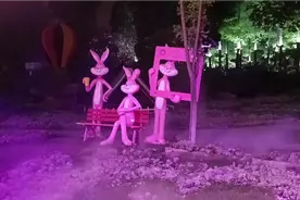 南通植物园西门雾气缭绕视频封面