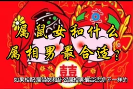 属鼠女和什么属相男最合适？视频封面