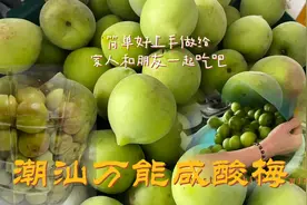潮汕咸酸梅简易腌制方法，用处多多，快点学起来视频封面
