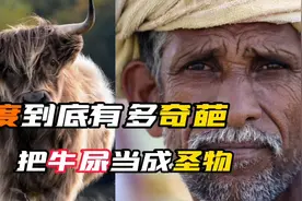 印度到底有多奇葩，把牛尿做成了可乐，牛粪做成了牙膏视频封面