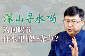 深山中取水，为何喝前要先撒一把杂草？佩服老一辈的智慧视频封面