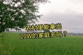 农村有多少家庭存款有20W，结果很惊讶，夫妻两地分居的，特别多视频封面