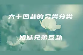 六十四卦的另类分类之七--姐妹兄弟互卦视频封面