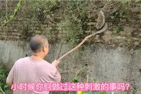 发现马蜂窝  ，怕捅就用这个小方法简单快捷又安全，轻松搞定