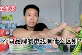 金龙羽，金雕，福特斯不同品牌电线有什么区别？视频封面
