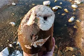 《奔波儿灞》