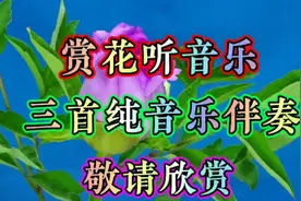 赏花听音乐，三首歌曲纯音乐伴奏，非常好听！敬请观看！视频封面