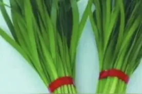 韭菜功效视频封面
