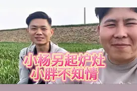 网吧大神小杨抛弃小胖，找到新的合作伙伴，小胖被蒙在鼓里视频封面