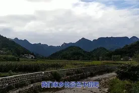 女人一定要学会做饭，好不好吃不重要，重要的是不会挨饿视频封面