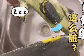原来黄骨鱼那么脏？你们知道吗？视频封面