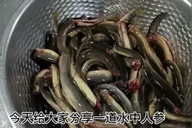 泥鳅人们称他为水中人参，我们宜宾人叫他鱼鳅，红烧做法入口即化