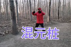 如何站好混元桩？经常站混元桩，全身经络畅通无比。视频封面