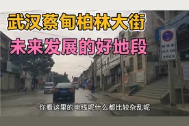 武汉边界蔡甸的柏林大街，离柏林地铁站比较近，未来发展的好地段视频封面