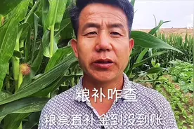 粮食直补金到没到帐，该怎么查，我来告诉你