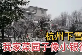 杭州主妇1000方院子堪比银行，下雪天也丰收，菜园子收了一大筐视频封面
