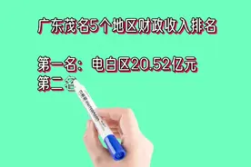 广东茂名5个地区财政收入排名视频封面