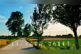 镜头下的甘肃乡村，是你想象的样子吗视频封面