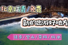 北京春日踏青发现好地方，这里可以登山徒步玩水遛娃带狗狗超级棒视频封面