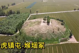 山东聊城唯一的东汉帝王陵墓，封土占地面积1万多平方米！视频封面