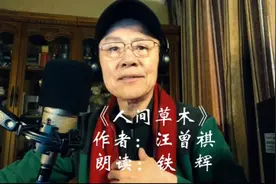 《人间草木》作者：汪曾祺  朗读： 铁  辉视频封面