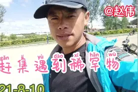 赶集遇到稀罕物，300元一只小花猫赵伟挪不动步了，结果18元成交视频封面
