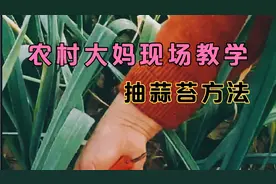 农村大妈现场教抽蒜苔技巧，速度超快，不伤蒜苗
