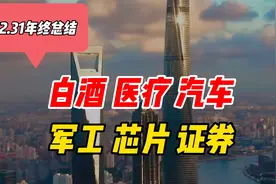 2021年板块总结：新能车夺冠，半导体优秀，医疗垫底视频封面