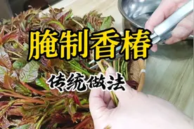 解析传统腌制香椿芽方法，清爽脆嫩比肉都香，吃一年都不会坏视频封面