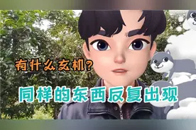 图片里抠出来的新现象，林生斌团队的细节，处处有心机