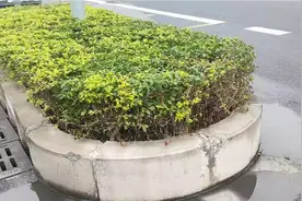 南宁市公交车站视频封面