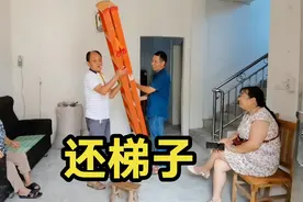 农村就是好！邻里之间互帮互助，小周把梯子擦干净还给表叔视频封面