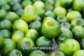 小青柑的功效與作用视频封面