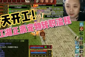热血江湖之正派宠物转职流程