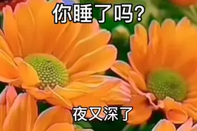 你睡了吗？#情感扎心语录#情感语录#情感故事#情感文案视频封面