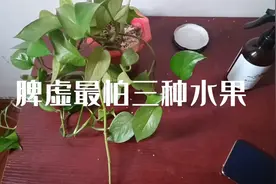 脾虚最怕三种水果视频封面