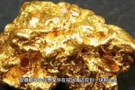 一个小伙子在山东招远海边捡到一块狗头金，鉴定完专家却表示质疑视频封面