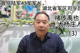 曾任陆军43军军长，湖北省军区司令员禇传禹也是大杨庄人（3）视频封面