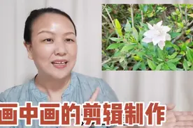 什么是画中画？如何剪辑制作画中画？详细讲，简单好学又好用！