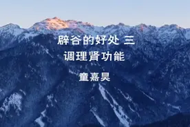 辟谷的好处三——调理肾功能视频封面