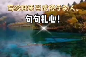 写给把我当成傻子的人，句句扎心。视频封面