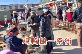 云南大理农村赶集，鹤庆县辛屯镇，买的是鸡鸭，买的也是希望视频封面