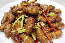 在家如何做干煸蚕蛹，既省油味道还好？焯、煸有诀窍，干香又酥脆视频封面